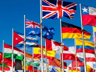 Illustration of New ideas for language schools. Idea #3 - International organisations