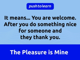 Illustration of The Pleasure is Mine Meaning