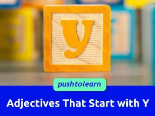 Illustration of Adjectives That Start with Y