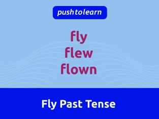 Illustration of Fly Past Tense