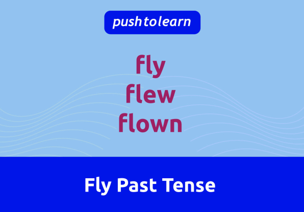 Illustration of Fly Past Tense