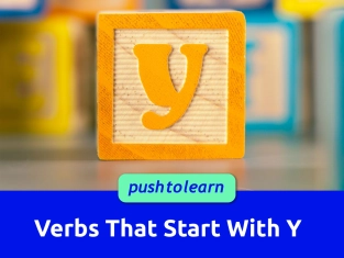 Illustration of Verbs That Start With Y