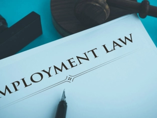 Illustration of Unit 8 - Employment Law