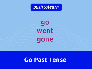 Illustration of Go Past Tense