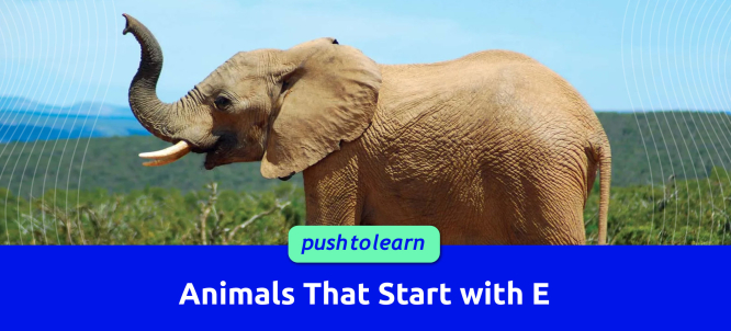 Illustration of Animals That Start with E