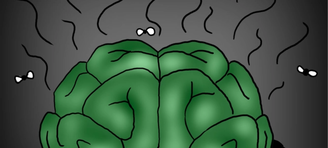 Illustration of Brainrot Quiz