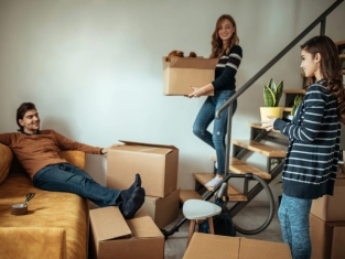 Illustration of Looking for a Flatmate