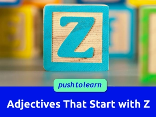 Illustration of Adjectives That Start with Z