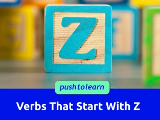 Illustration of Verbs That Start With Z