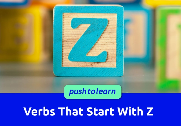 Illustration of Verbs That Start With Z