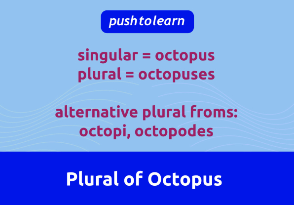 Illustration of Plural of Octopus