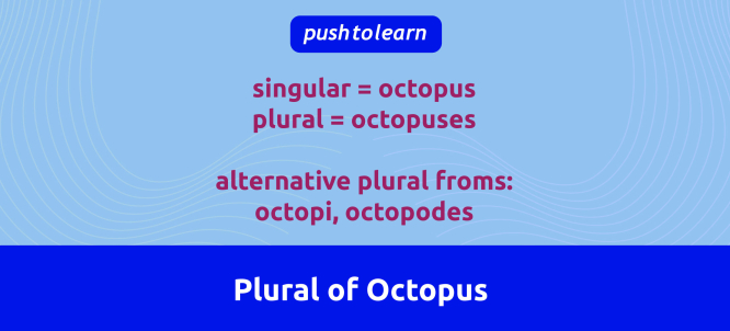 Illustration of Plural of Octopus