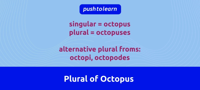 Illustration of Plural of Octopus