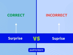 Illustration of Suprise vs Surprise