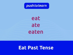 Sew Past Tense - Exercise, Lesson and Worksheet