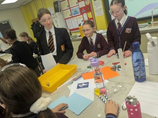Illustration of School science competition