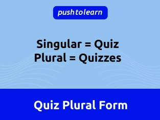 Illustration of Quiz Plural Form