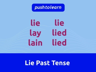 Illustration of Lie Past Tense