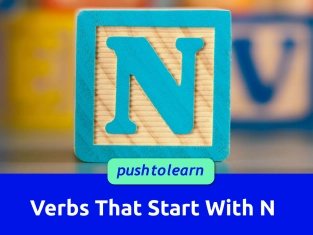 Illustration of Verbs That Start With N