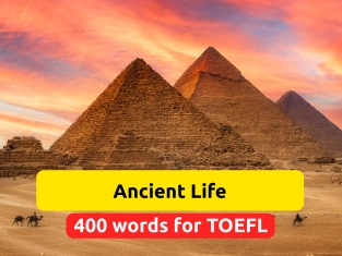 Illustration of Ancient Life