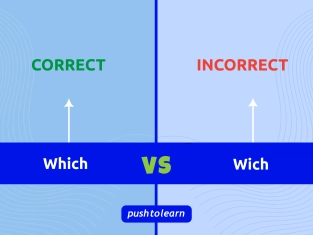 Illustration of Wich vs Which