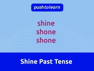 Illustration of Shine Past Tense