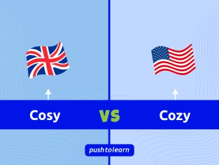 Illustration of Cosy vs Cozy