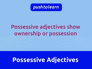 Illustration of Possessive Adjectives