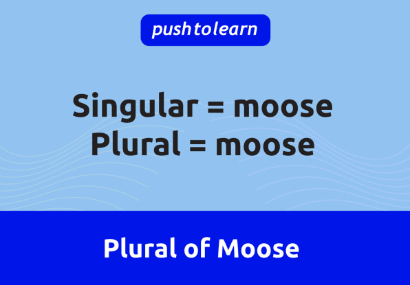 Illustration of Plural of Moose