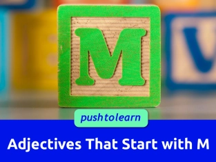 Illustration of Adjectives That Start with M