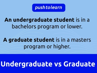 Illustration of Undergraduate vs Graduate