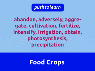 Illustration of Food Crops