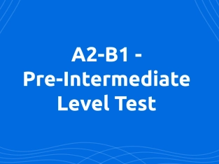 Illustration of Pre-Intermediate Level Test