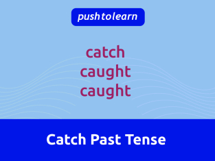 Illustration of Catch Past Tense