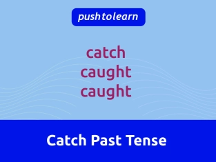 Illustration of Catch Past Tense