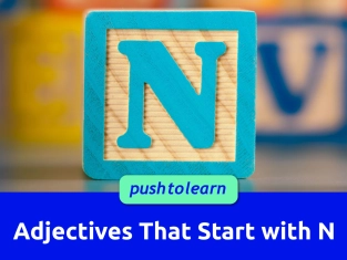 Illustration of Adjectives That Start with N