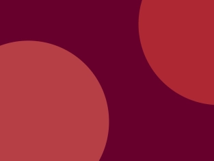 Illustration of 6. Investment