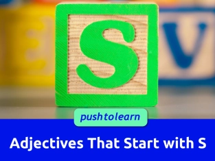 Illustration of Adjectives That Start with S