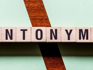 Illustration of What Is an Antonym?