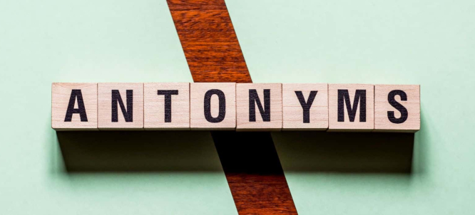 Illustration of What Is an Antonym?