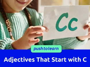 Illustration of Adjectives That Start with C