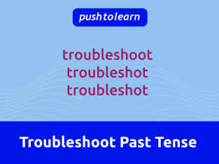 Illustration of Troubleshoot Past Tense