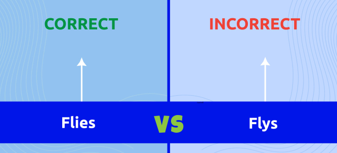 Illustration of Flys or Flies
