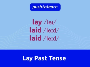 Illustration of Lay Past Tense