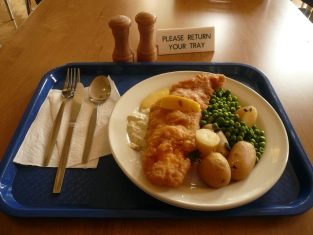 Illustration of Talking About Meals