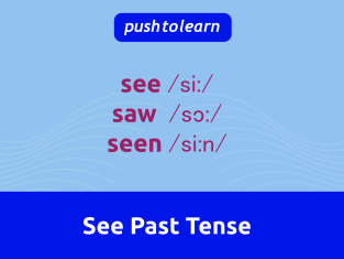 Illustration of See Past Tense