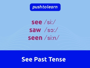 Illustration of See Past Tense