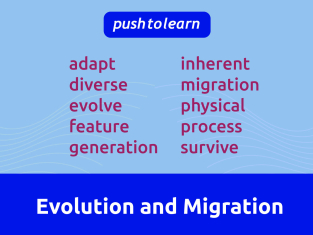 Illustration of Evolution and Migration