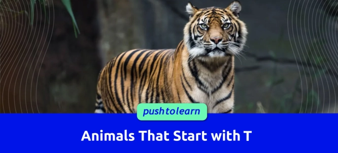 Animals That Start With T List Exercise Examples