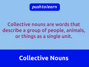 Illustration of Collective Nouns